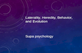 LATERALITY, HEREDITY, BEHAVIOR, AND EVOLUTION SUPA PSYCHOLOGY.