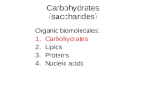 Carbohydrates (saccharides) Organic biomolecules: 1.Carbohydrates 2.Lipids 3.Proteins 4.Nucleic acids.