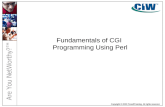 Fundamentals of CGI  Programming Using Perl