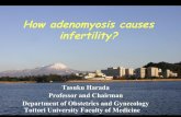 How adenomyosis causes infertility? - SEUDseud- .Prevalence of Patients with Adenomyosis, Endometriosis