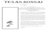 WINTEr 2010 TEXAS BONSAI - Austin Bonsai TEXAS BONSAI 3 WINTEr 2010 The Fort Worth Bonsai Society by