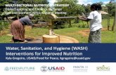Water, Sanitation, and Hygiene (WASH) Interventions for ... MULTI-SECTORAL NUTRITION STRATEGY Global