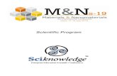 Scientific Program - mns-19.com Investigation of electrospun nickel manganite-carbon nanofibers as electrodes