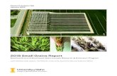 2018 Small Grains Report 2018 Small Grains Report Southcentral and Southeast Idaho Cereals Research