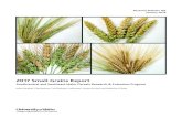2017 Small Grains Report - University of Idaho 2017 Small Grains Report Southcentral and Southeast Idaho
