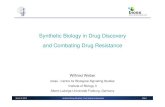 Synthetic Biology in Drug Discovery and Combating Drug ... ... Synthetic Biology in Drug Discovery Synthetic
