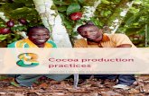 Cocoa production - Royal Tropical Institute 8 cocoa production practices 1468.1 Cocoa production activities