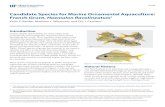 Candidate Species for Marine Ornamental Aquaculture ... Candidate Species for Marine Ornamental Aquaculture: