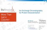 Ion Exchange Chromatography for Protein Characterization Exchange Chromatography for... Principles and