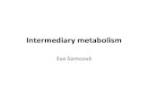 Intermediary metabolism - Univerzita Karlovavyuka-data.lf3.cuni.cz/CVSE1M0001/intermediary metabolism...آ 