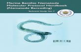 Marine Benthic Nematode Molecular Protocol Handbook ... Marine Benthic Nematode Molecular Protocol Handbook