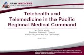 Telehealth and Telemedicine in the Pacific Regional ... Telehealth and Telemedicine in the Pacific Regional