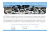 Business Sustainability in Blue Sky Recycling ... Business Sustainability in Blue Sky Recycling Programme