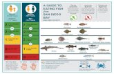 A Guide to Eating Fish from San Diego Bay ... Title A Guide to Eating Fish from San Diego Bay Author