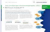 Ion-exchange chromatography (IEC) Ion-exchange chromatography (IEC) HPLC â€¢ SMB â€¢ Osmometry separation
