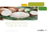 The story behind the ingredient: Tapioca - Cargill The story behind the ingredient: Tapioca 3 2 argi