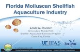Florida Molluscan Shellfish Aquaculture Florida Bivalve Aquaculture Industry ¢â‚¬¢Shellfish aquaculture