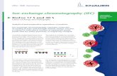 Ion-exchange chromatography (IEC) Ion-exchange chromatography (IEC) 2 BioFox 17 S and 40 S Ion-exchange