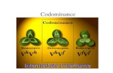 Codominance - University of Arizona Epistasis, incomplete dominance and codominance are all examples