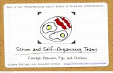 Scrum and Self-Organizing Teams - Building Better ... Scrum values give direction to the practices and