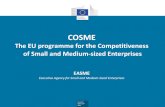 COSME ... COSME in practice 5 EASME COSME Programme Management Access to finance Loan Guarantee Facility