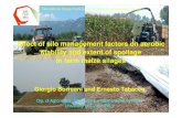 Effect of silo management factors on aerobicEffect of silo 2012-07-11آ  Effect of silo management factors