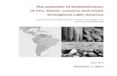The potential of biofortification of rice, beans, The potential of biofortification of rice, beans,