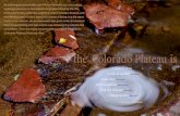 the Colorado Plateau is 2020-03-29آ  Around the Plateau 62 / Plateau Map 64 the Colorado Plateau is
