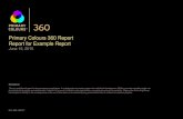 Primary Colours 360 Report Report for Example Report 2019-10-01آ  Primary Colours 360 Report Report