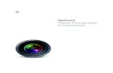 Aperture Digital Photography Fundamentalsfre Digital Single-Lens Reflex (DSLR) This camera is named