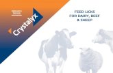 FEED LICKS PROVEN FOR DAIRY, BEEF & SHEEP beef and sheep. p32 pre-calver for dairy and beef cows. p20