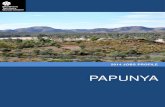 Papunya Jobs Profile 2014 2014 Jobs Profile PAPUNYA In 2014 in Papunya: of the 71 jobs in the public