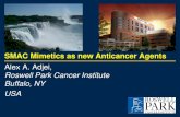 TAT 2011 presentation: SMAC mimetics as new anticancer agents SMAC Overview â€¢Smac (second mitochondrial-derived