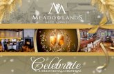 MEأ…DOWLANDS HOTEL T R ALEE A TRADITIONAL CHRISTMAS GIFT VOUCHERS memories all wraPPed up CHRISTMAS