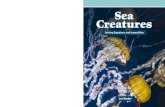 Sea Creatures - Academic Therapy ... Sea Creatures Barker TCM 14457 ! The ocean is home to thousands