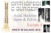 Orthopedics Spine