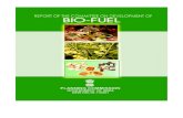 Planning Commission - Biofuels