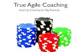 Agile Resonance Coaching -Scrum Gathering 2013