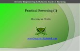 Reversing & malware analysis training part 6   practical reversing (i)