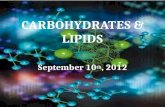 Carbohydrates & Lipids