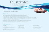 Company  brief portfolio bubble