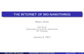 The Internet of Bio-Nano Things