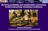 Building profitable and sustainable community forest enterprises: Enabling conditions