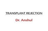 Anshul trans rejection