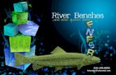Friends River Benches Auction