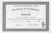 Youth Entrepreneurship Scheme Certificate.