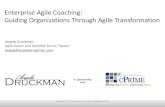 Enterprise Agile Coaching - Professional Agile Coaching #3