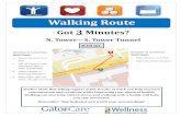 Walking Route increase concentration and creativity while improving your physical health! Walking can