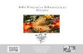 My French Marigold Story Seed Saving Lesson, Mini-Books, Coloring Sheet, Garden Sign and Plant Labels
