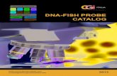 CGI Italia: DNA-FISH Probe Catalog